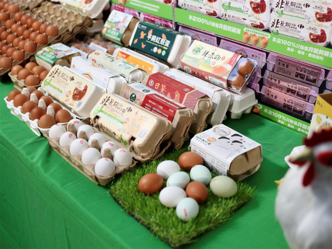 家樂福2026年全面停售籠飼蛋！串聯小農與大品牌4大永續行動，他們如何花8年推動物福利，改變消費者選擇？